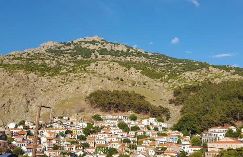 4 Season Cozy Home - Foto 13