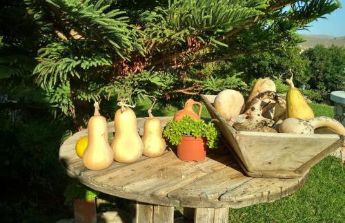 Κτήμα Κουρλή - Photo 20