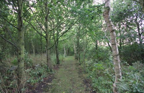 Low Costa Mill - Foto 17