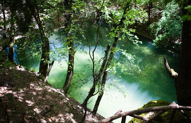 Vallée des papillons et vin, huile d'olive, visite de dégustation de miel (petit groupe) - Photo 5
