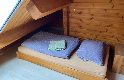 Waldhaus Eichhörnchen - Foto 34