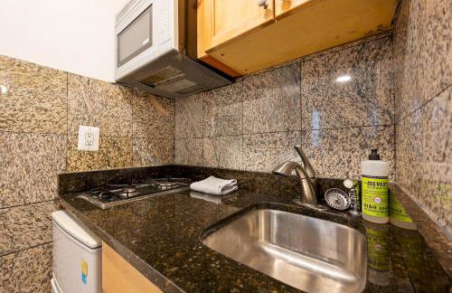 Amazing Studio in Kips Bay - Foto 5