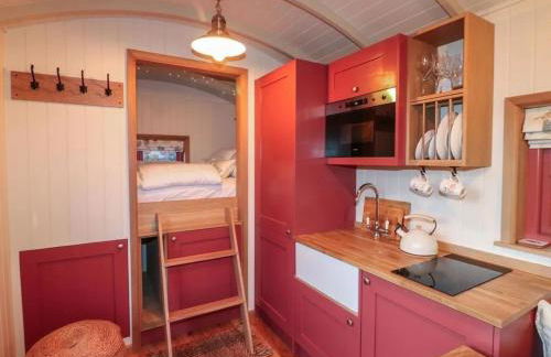 Shepherd's Hut- Hot Tub- Wellness Spa- Wood Burner - Foto 43