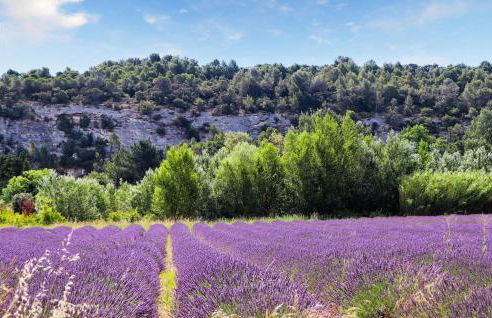 Awesome Home In Pierrelatte With Wifi - Foto 24