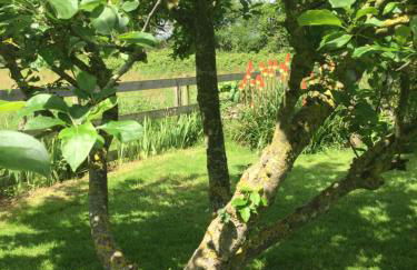 Gite Au Pré du Mont st michel - Foto 26