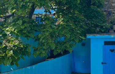 Villa Viera - Photo 4