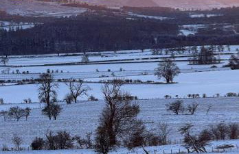 Turnpike House - Foto 2