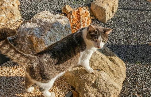 Lovely Home In Montferrier Sur Lez - Foto 15