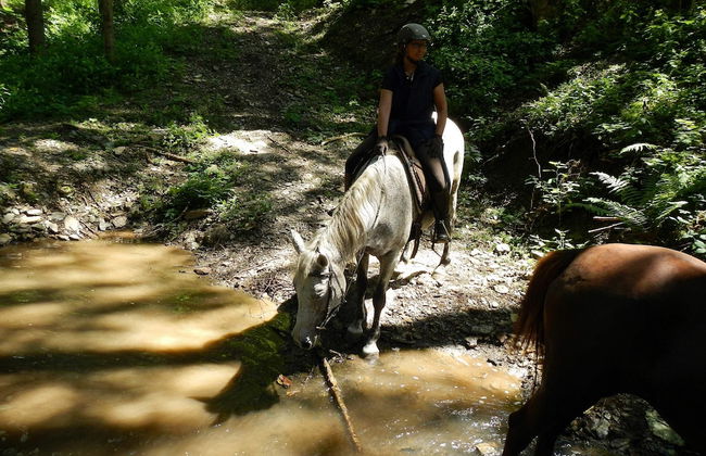 Chalet in Liebenfels Near ski Area - Foto 37