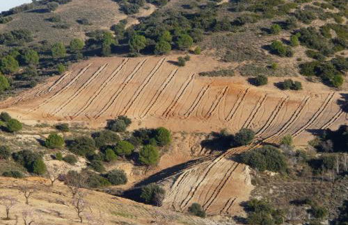 Cortijo La Estrella - Foto 38