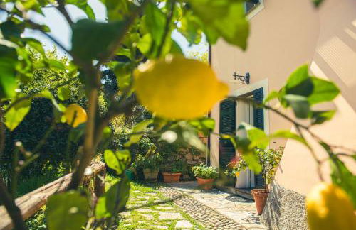 Agriturismo Villa Caterina - Foto 28