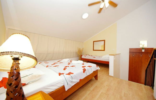 Dino - Gorgeous Garden - SA2 Jelsa - Photo 3