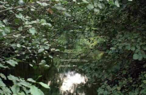 Casa do Vale de Cerva - Foto 23