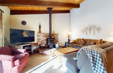 Chateau De Montagne #3 Condo - Foto 4