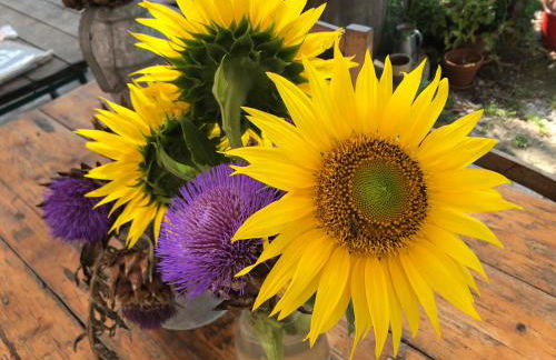 Pecore Ribelli - Photo 16