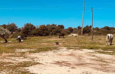 Naya pool & garden view bungalow - Foto 30