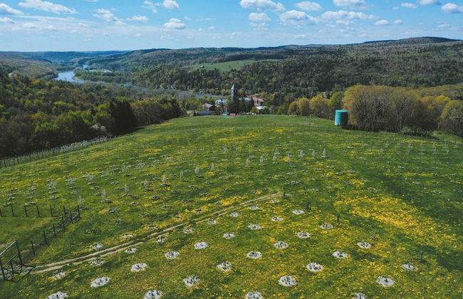 Meadow House at Seminary Hill by Avantstay - Photo 8