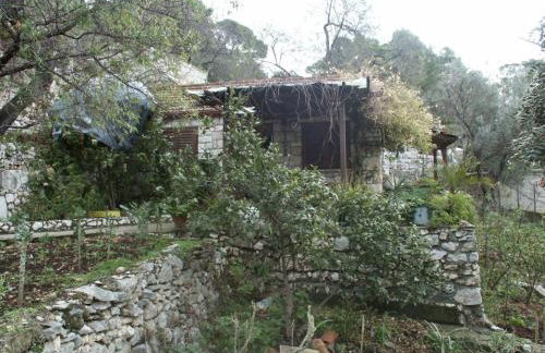 Apartments by the sea Babine Kuce, Mljet - 610 - Photo 3