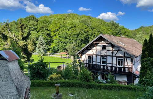 Holla die Waldfee - Foto 1