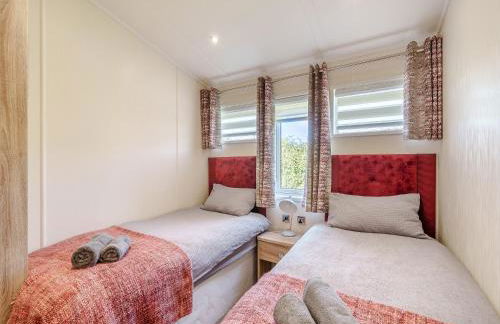 Red Robin - Uk49581 - Foto 9