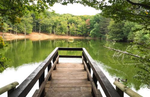 GarganoMareBorghi ospitalità diffusa - Foto 50