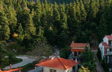 Τα Πέτρινα της Ελάτης - Petrina Elatis - Foto 53