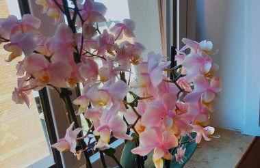 Purer Luxus in Zwickau Planitz - Exklusive Ferienwohnung für bis zu 10 Personen! - Foto 45