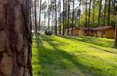 Domki i Pole Namiotowe Pod Sosnami - Foto 13