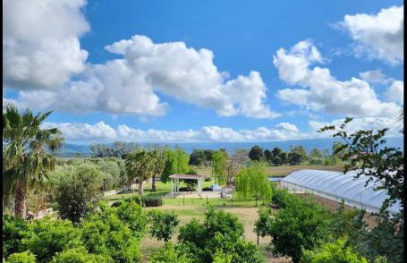 L'Orto di MiLa - Foto 9