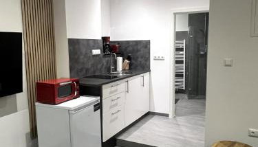 FeWo A&S Heuchelheim 1 Zi Wohnung EG - Foto 1, stove