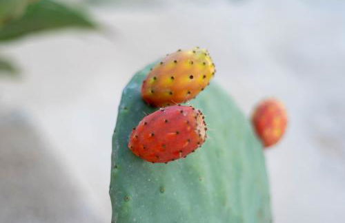 Casa Giardinello - Foto 38