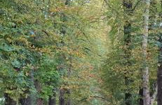 CAL TRANQUIL Camprodon, acollidor àtic al centre - Photo 41