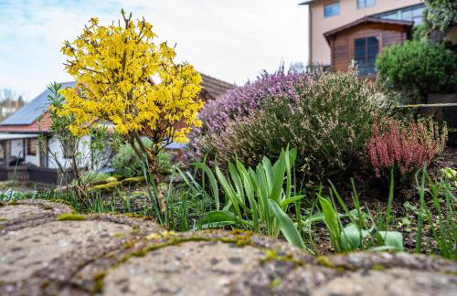 Ferienwohnung Brigitte - Foto 17