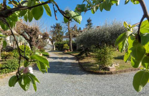 Alba Morus - Photo 25