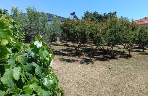 Grandmas Cottage - Photo 37