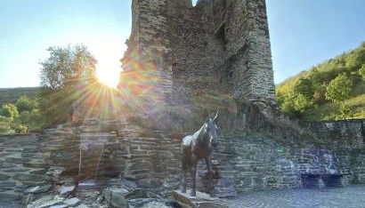 Roosartige Ferien - Ferienwohnung am Weiherturm - Foto 5