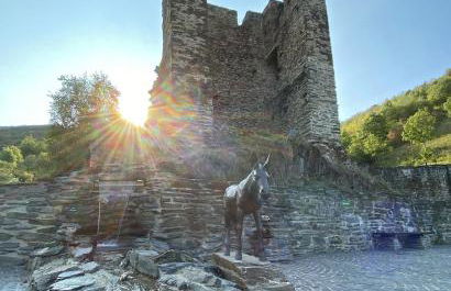 Roosartige Ferien - Ferienwohnung am Weiherturm - Photo 5