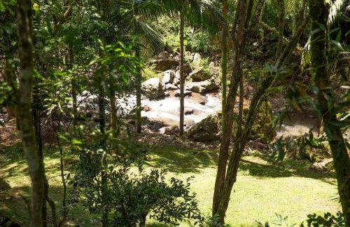 Canto da cascata - Foto 51
