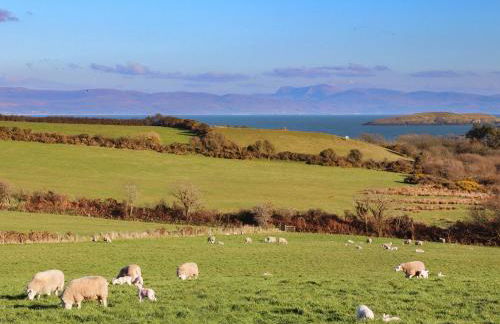 Mur Cwpwl - Annex - Photo 21