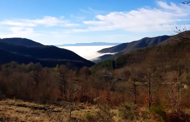 Alla Battuta - Foto 48