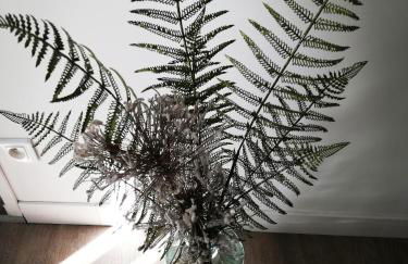 Les insolites de Champeix - Photo 52