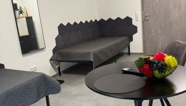 Ruhiges Apartment mit Terrasse an der Donau - Schwaben Living - Foto 3