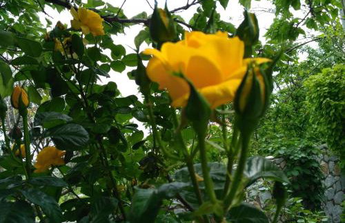 9 Musses ROOMS - Foto 47