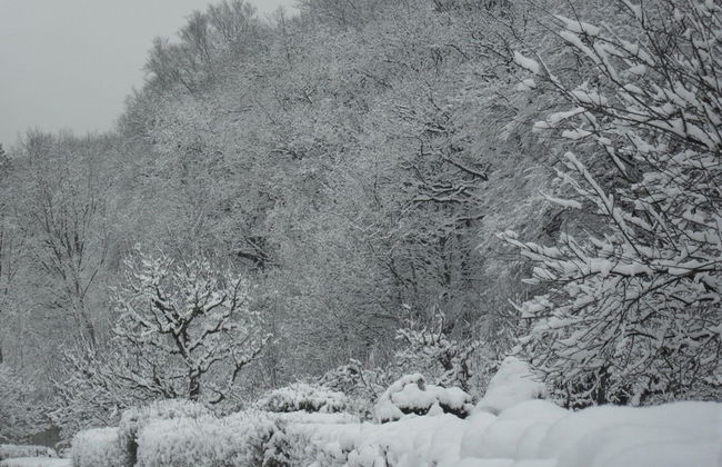 Ferienwohnung Sachsische Schweiz - Foto 29