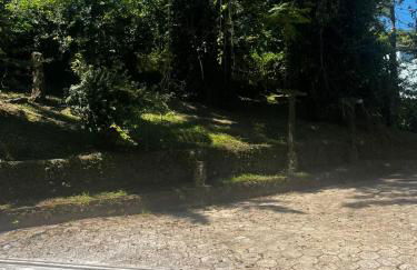 Encanto dos Pássaros - Foto 11