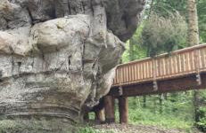 Ferienwohnung am Pferdemarkt - Foto 70