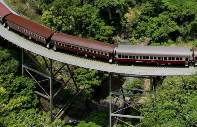 Day Trip to Kuranda: Scenic Rail and Skyrail - Photo 9