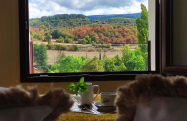 Suite Curry - Photo 17