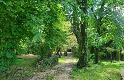 Dreamy Château for big groups and their pets - Foto 16