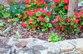 Casa Sissi - Foto 45